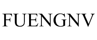 FUENGNV
