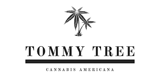 TOMMY TREE CANNABIS AMERICANA