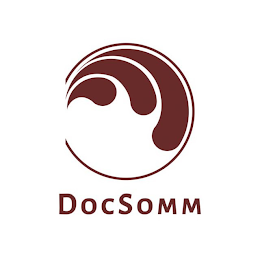 DOCSOMM