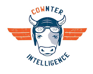 COWNTER INTELLIGENCE