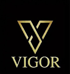 V VIGOR