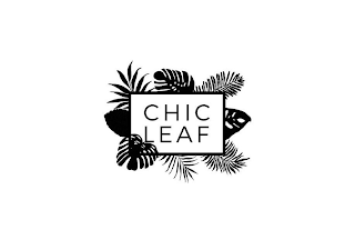 CHIC LEAF