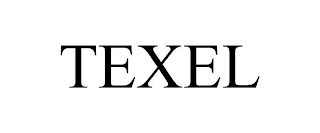TEXEL