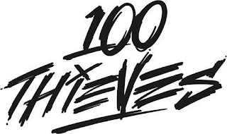 100 THIEVES X