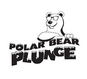 POLAR BEAR PLUNGE