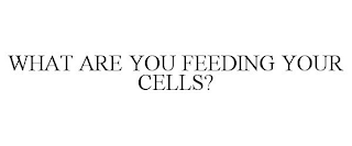 WHAT ARE YOU FEEDING YOUR CELLS?