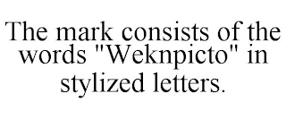 THE MARK CONSISTS OF THE WORDS "WEKNPICTO" IN STYLIZED LETTERS.