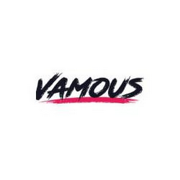 VAMOUS