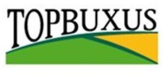 TOPBUXUS