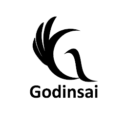 GODINSAI