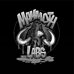 MAMMOTH LABS