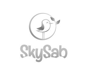 SKYSAB