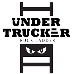 UNDER TRUCKER TRUCK LADDER