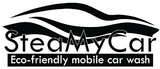 STEAMYCAR ECO-FRIENDLY MOBILE CAR WASH