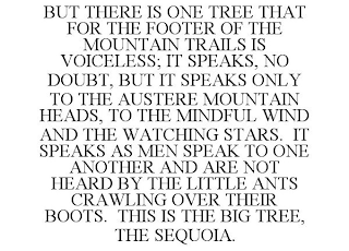 BUT THERE IS ONE TREE THAT FOR THE FOOTER OF THE MOUNTAIN TRAILS IS VOICELESS; IT SPEAKS, NO DOUBT, BUT IT SPEAKS ONLY TO THE AUSTERE MOUNTAIN HEADS, TO THE MINDFUL WIND AND THE WATCHING STARS. IT SPEAKS AS MEN SPEAK TO ONE ANOTHER AND ARE NOT HEARD BY THE LITTLE ANTS CRAWLING OVER THEIR BOOTS. THIS IS THE BIG TREE, THE SEQUOIA.