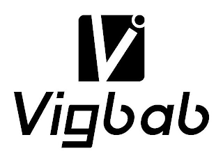 V VIGBAB