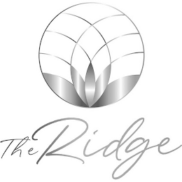 THE RIDGE