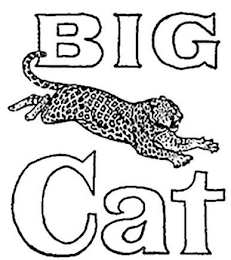 BIG CAT