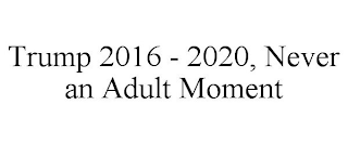 TRUMP 2016 - 2020,  NEVER AN ADULT MOMENT