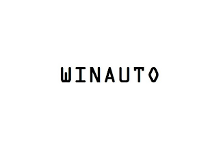 WINAUTO