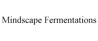 MINDSCAPE FERMENTATIONS