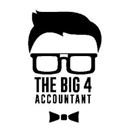 THE BIG 4 ACCOUNTANT