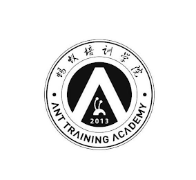 2013 · ANT TRAINING ACADEMY ·