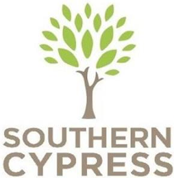 SOUTHERN CYPRESS