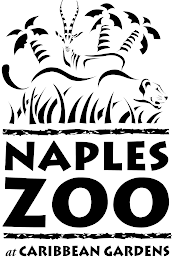 NAPLES ZOO AT CARIBBEAN GARDENS