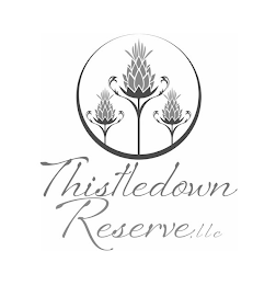 THISTLEDOWN RESERVE, LLC