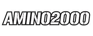 AMINO2000