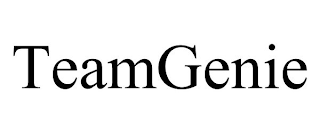 TEAMGENIE