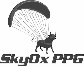 SKYOX PPG