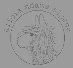 ALICIA ADAMS ALPACA