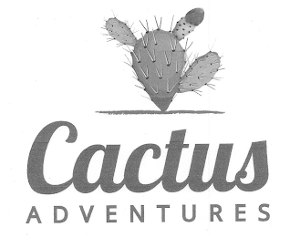 CACTUS ADVENTURES