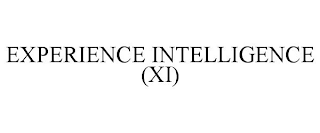 EXPERIENCE INTELLIGENCE (XI)