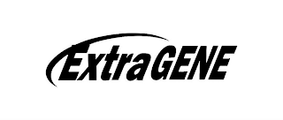 EXTRAGENE