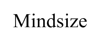 MINDSIZE