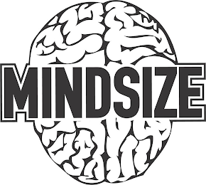 MINDSIZE