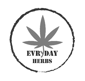 EVRYDAY HERBS