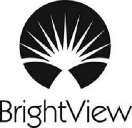 BRIGHTVIEW