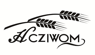 HCZIWOM