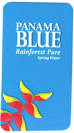 PANAMA BLUE RAINFOREST PURE SPRING WATER