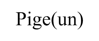 PIGE(UN)