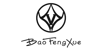 V BAOFENGXUE