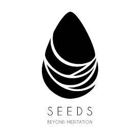 SEEDS BEYOND MEDITATION