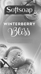 SOFTSOAP WINTERBERRY BLISS