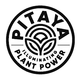 PITAYA ILLUMINATING PLANT POWER