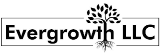 EVERGROWTH LLC