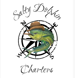 SALTY DOLPHIN CHARTERS